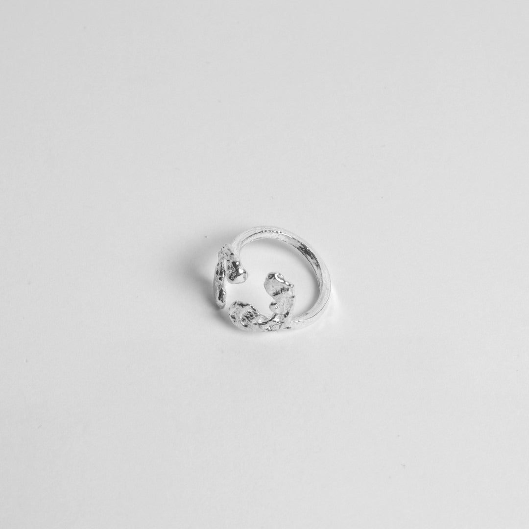 ANILLO DOBLE VIRUTA — restaurada