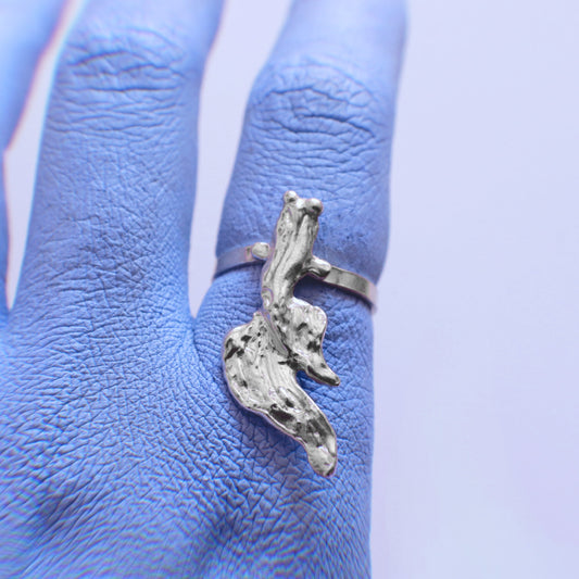 ANILLO PEZ BETTA — restaurada