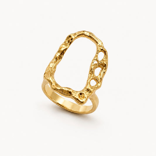 ANILLO VIRUTA 01