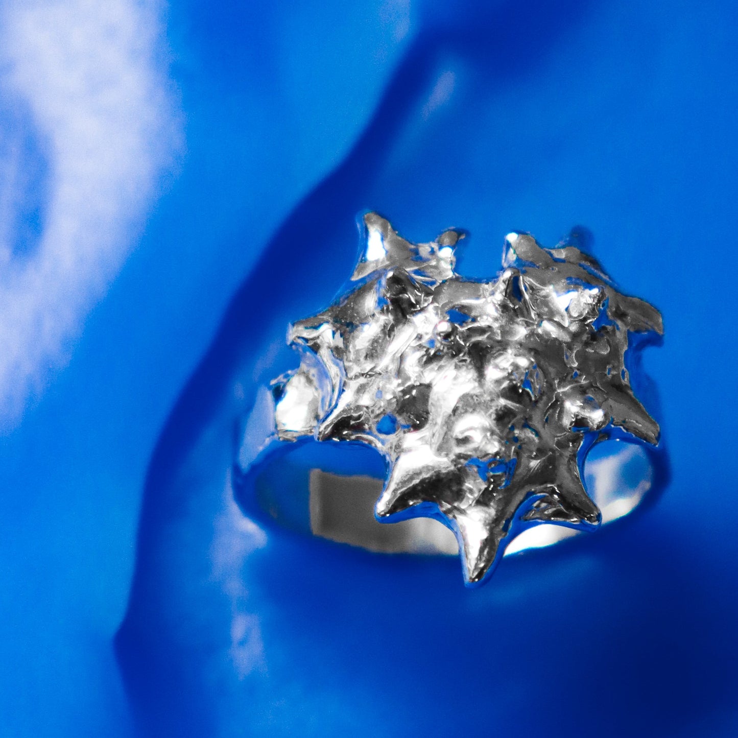 ANILLO CORAZA (Por encargo)