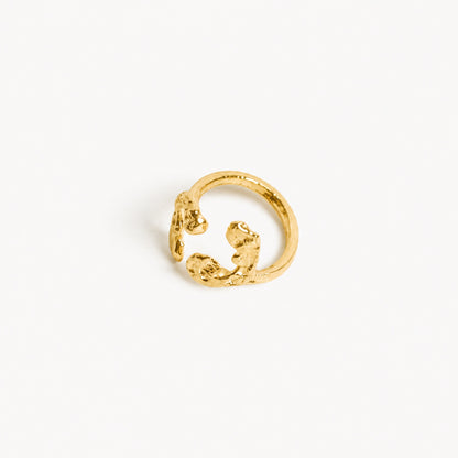 Chapado en oro - ANILLO DOBLE VIRUTA | Antorcha de Plata