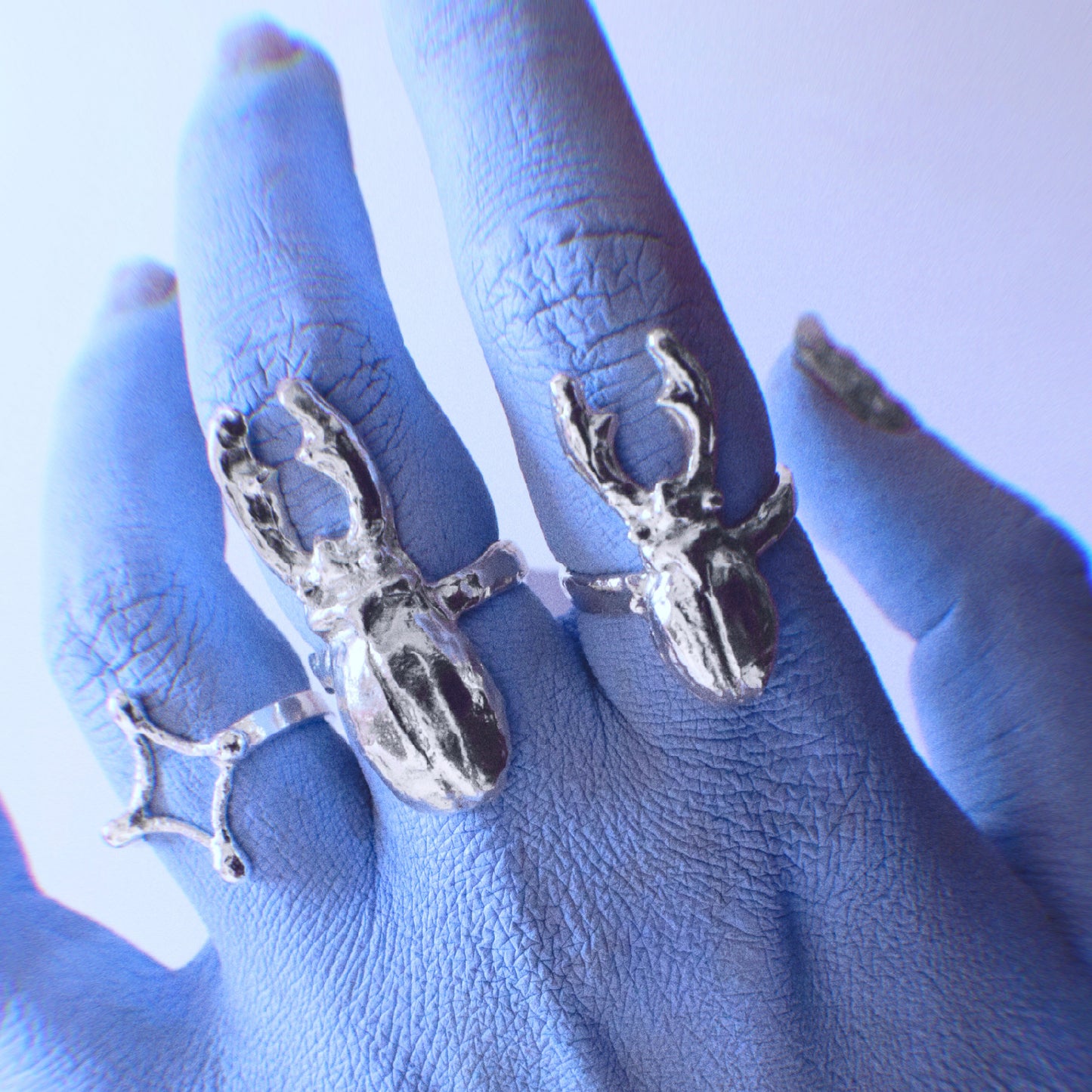 ANILLO CIERVO VOLADOR 02