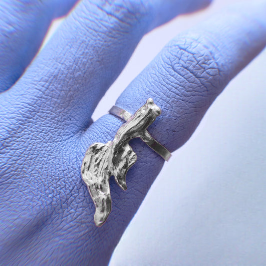 ANILLO PEZ BETTA — foto cuadrada recortada