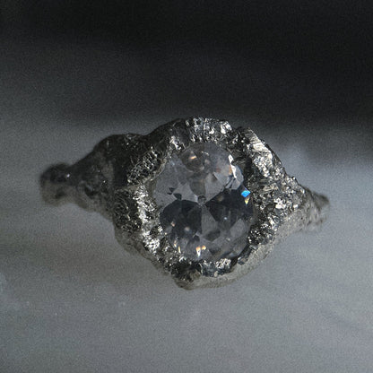 ANILLO ATRAPALUZ