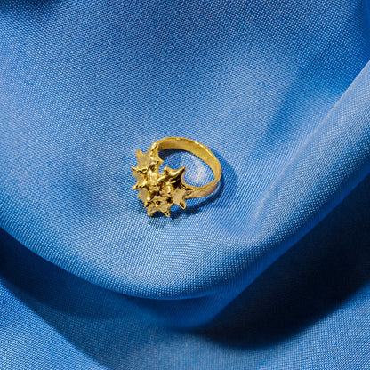 ANILLO CORAZA