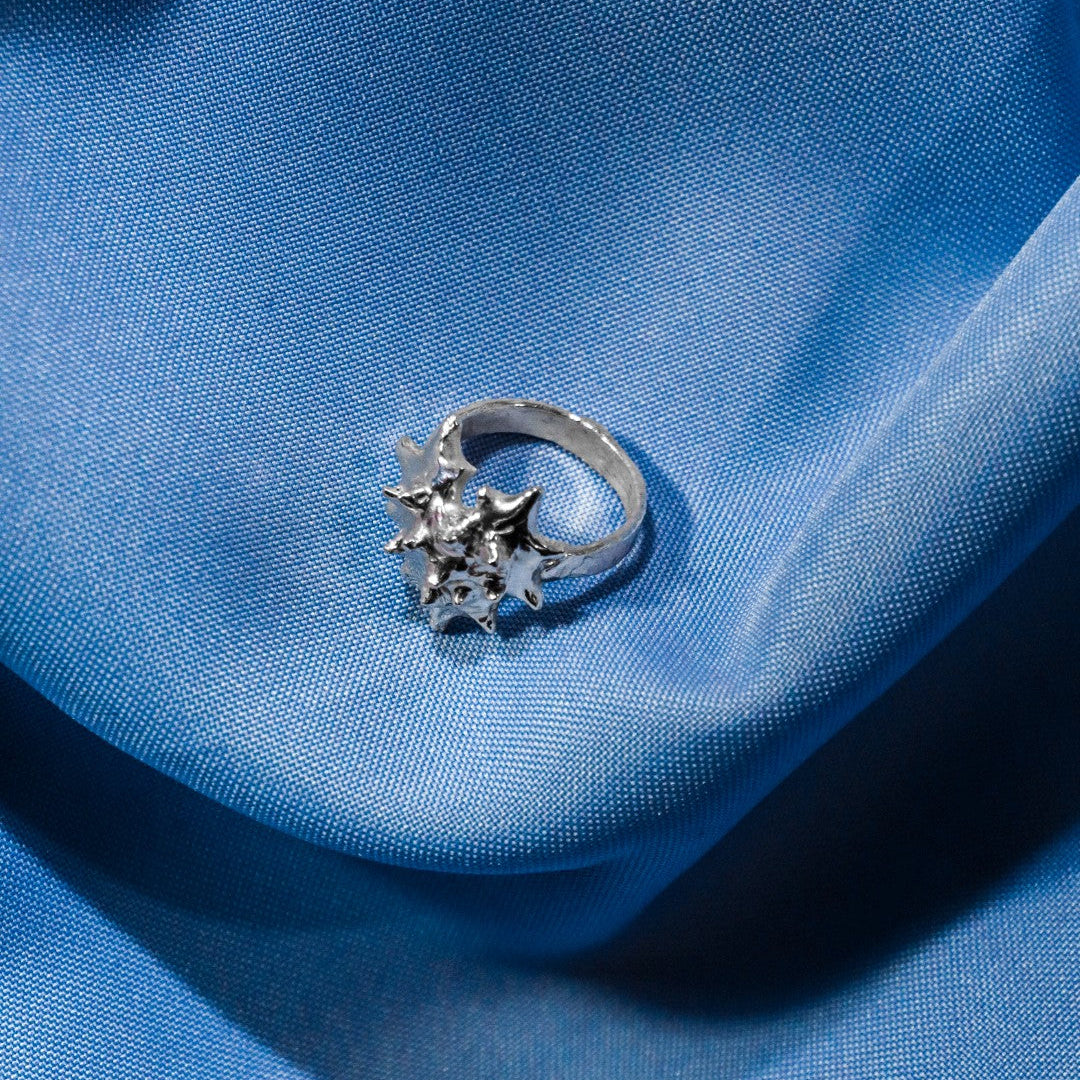 ANILLO CORAZA (Por encargo)