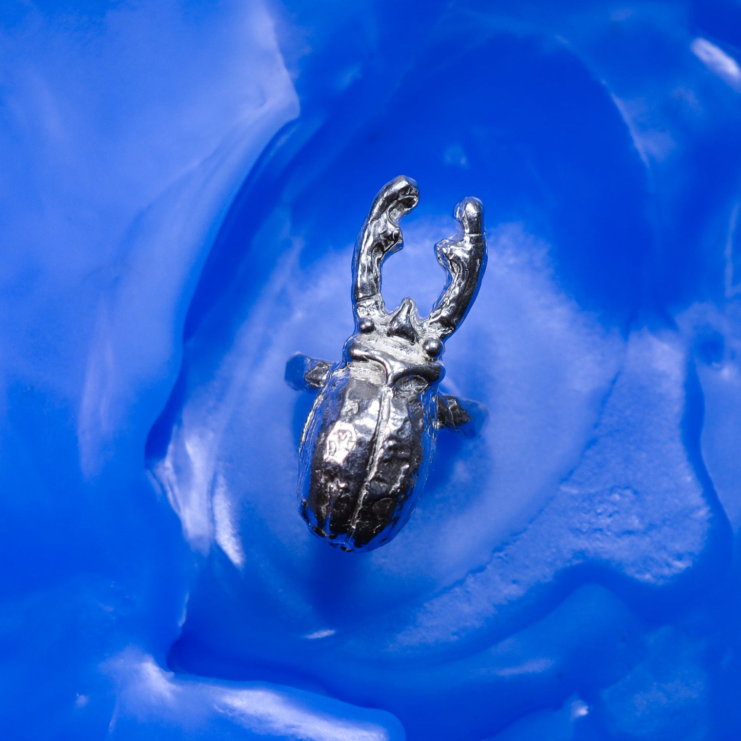 ANILLO CIERVO VOLADOR 01