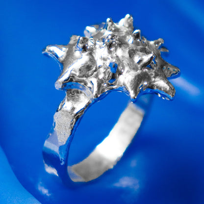 ANILLO CORAZA (Por encargo)