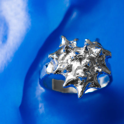 ANILLO CORAZA (Por encargo)