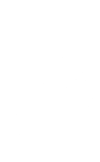 Antorcha de Plata